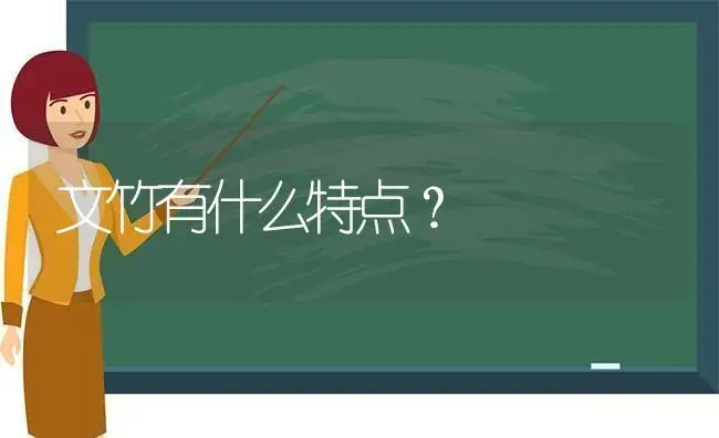 文竹有什么特点？ | 植物问答