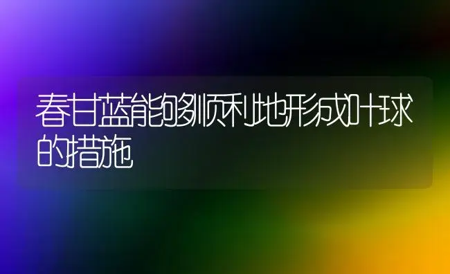 春甘蓝能够顺利地形成叶球的措施 | 植物百科