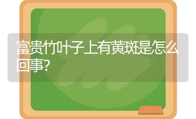 富贵竹叶子上有黄斑是怎么回事？ | 植物问答