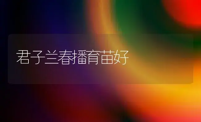 君子兰春播育苗好 | 植物知识