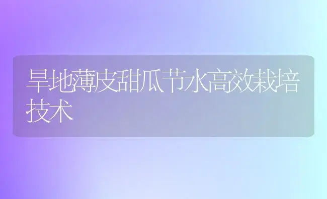 君子兰为什么叶缘枯焦  | 植物科普