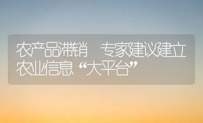 农产品滞销 专家建议建立农业信息“大平台” | 植物百科