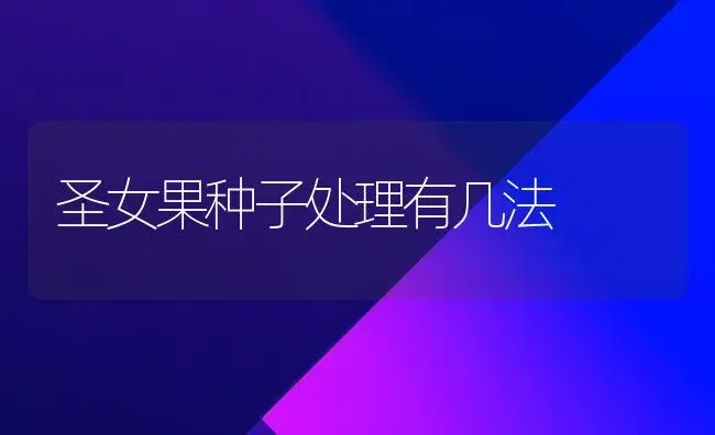 圣女果种子处理有几法 | 植物科普