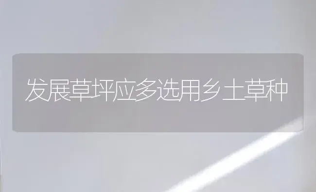 发展草坪应多选用乡土草种 | 植物知识