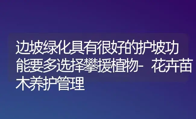 边坡绿化具有很好的护坡功能要多选择攀援植物-花卉苗木养护管理 | 植物科普