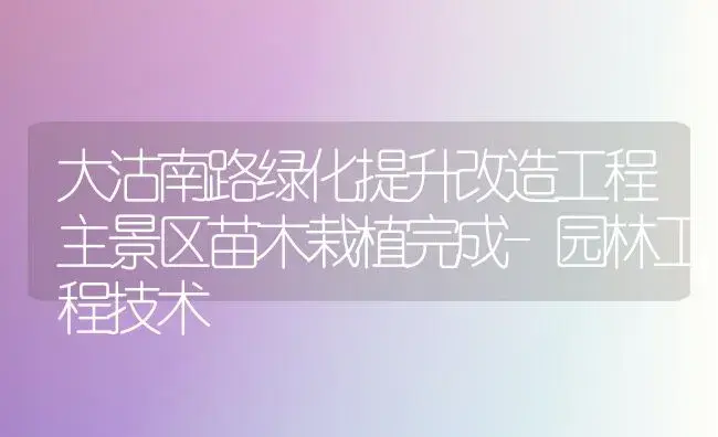 大沽南路绿化提升改造工程主景区苗木栽植完成-园林工程技术 | 植物知识