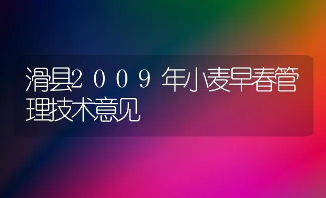 滑县2009年小麦早春管理技术意见 | 植物科普