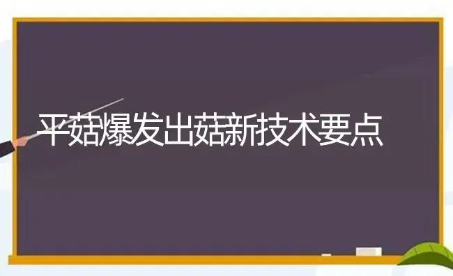 平菇爆发出菇新技术要点 | 植物科普