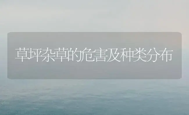 草坪杂草的危害及种类分布 | 植物知识