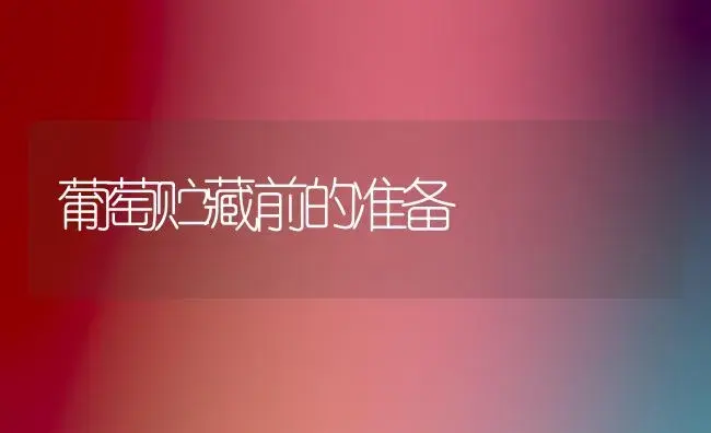 葡萄贮藏前的准备 | 植物科普