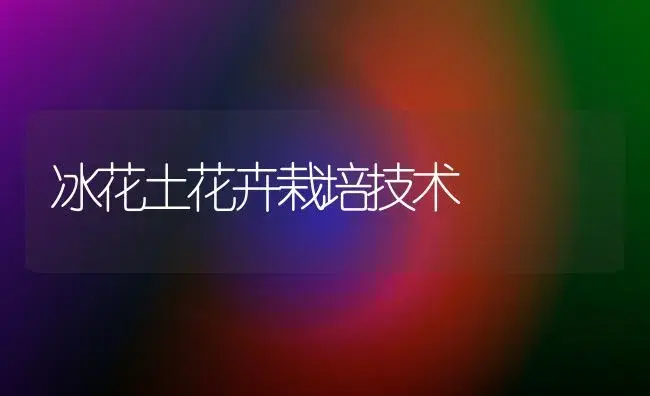冰花土花卉栽培技术 | 植物科普