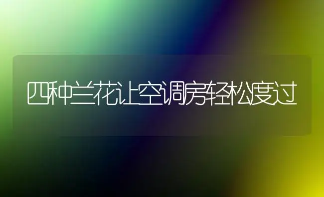 小叶杜鹃繁殖技巧 | 植物科普
