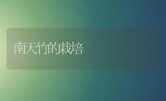 南天竹的栽培 | 植物知识