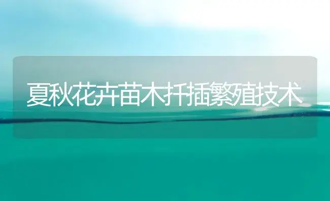 马铃薯种植技巧 | 植物科普