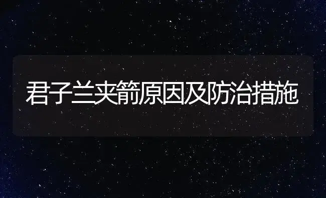 君子兰夹箭原因及防治措施 | 植物知识