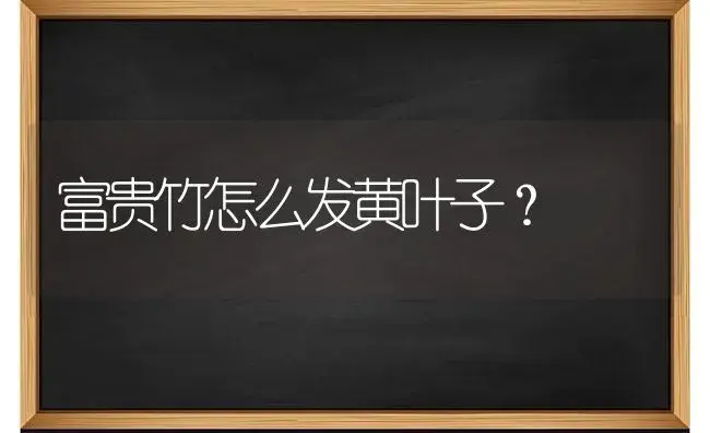 富贵竹怎么发黄叶子？ | 植物问答