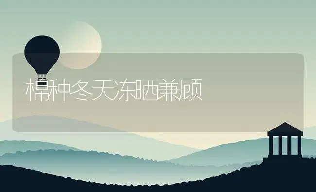 棉种冬天冻晒兼顾 | 植物资料