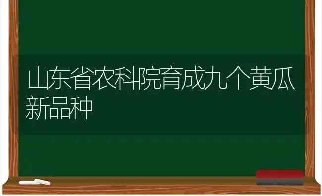 山东省农科院育成九个黄瓜新品种 | 植物科普