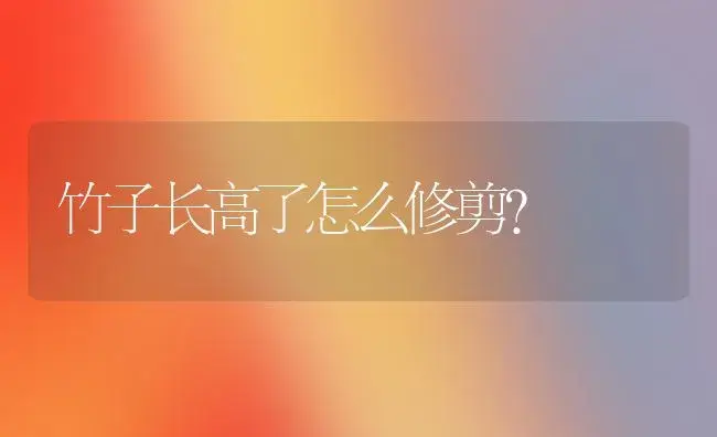 竹子长高了怎么修剪？ | 植物问答