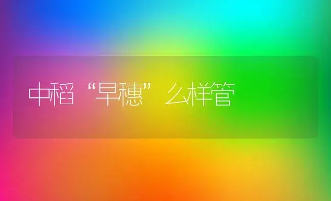 中稻“早穗”么样管 | 植物科普