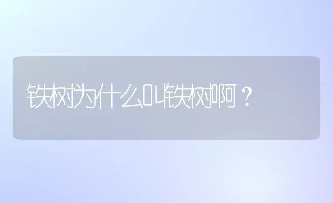 铁树为什么叫铁树啊？ | 植物问答