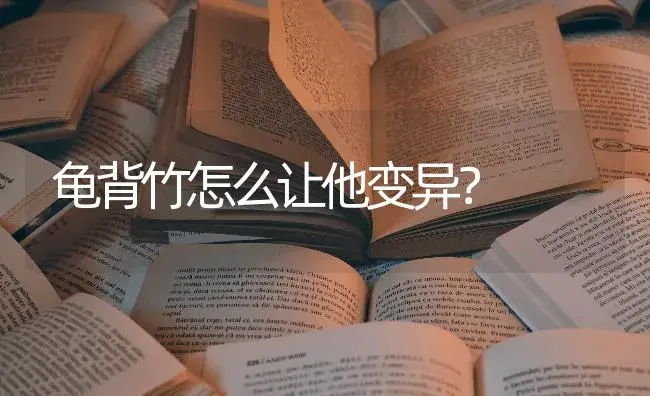 龟背竹怎么让他变异？ | 植物问答