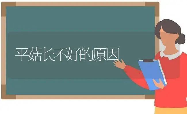 平菇长不好的原因 | 植物科普