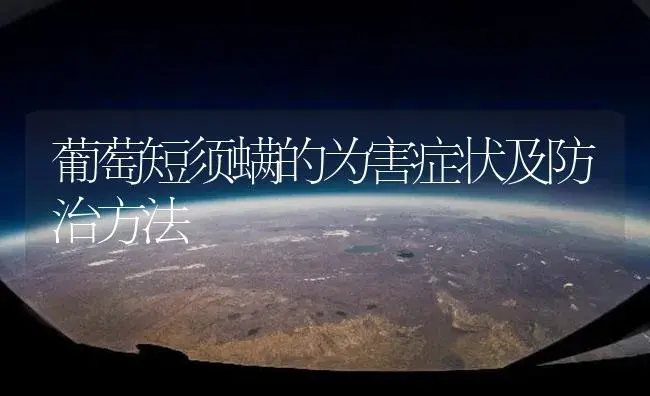 葡萄短须螨的为害症状及防治方法 | 植物百科
