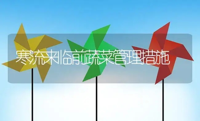 寒流来临前蔬菜管理措施 | 植物资料