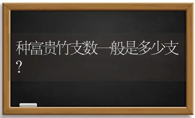 种富贵竹支数一般是多少支？ | 植物问答