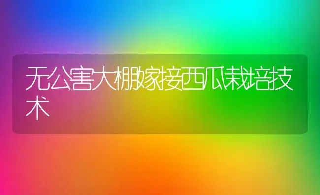 无公害大棚嫁接西瓜栽培技术 | 植物科普