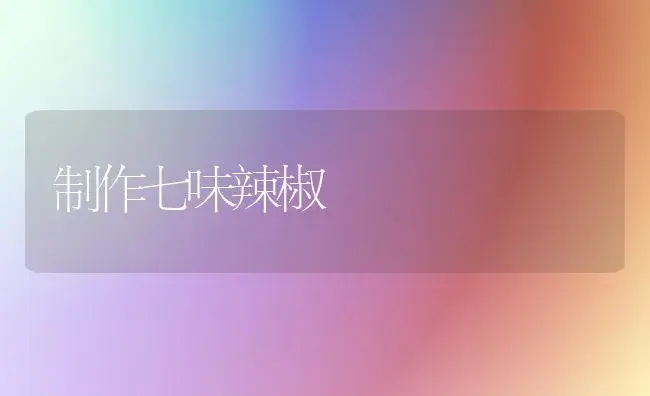杨树速生丰产林栽培技术要点之一 | 植物科普