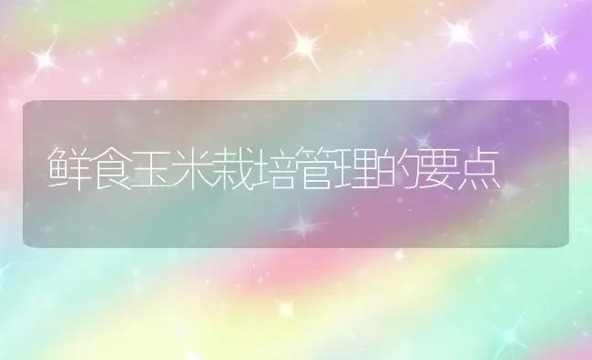 鲜食玉米栽培管理的要点 | 植物科普