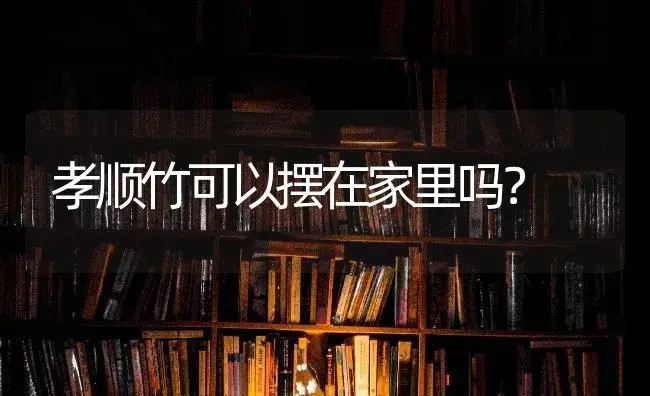 孝顺竹可以摆在家里吗？ | 植物问答