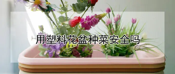 用塑料花盆种菜安全吗