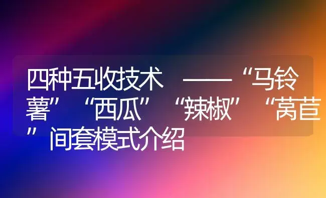 四种五收技术 ——“马铃薯”“西瓜”“辣椒”“莴苣”间套模式介绍 | 植物百科