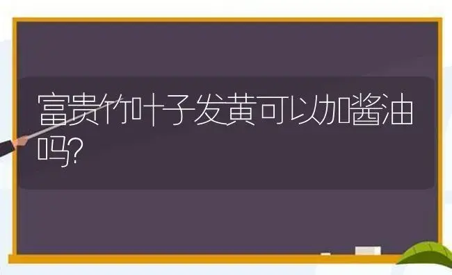 富贵竹叶子发黄可以加酱油吗？ | 植物问答