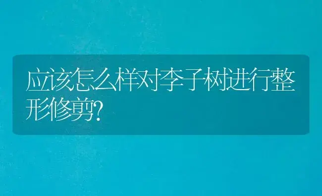 应该怎么样对李子树进行整形修剪？ | 植物科普