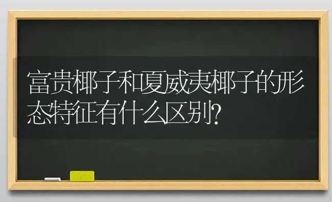 富贵椰子和夏威夷椰子的形态特征有什么区别？ | 植物问答