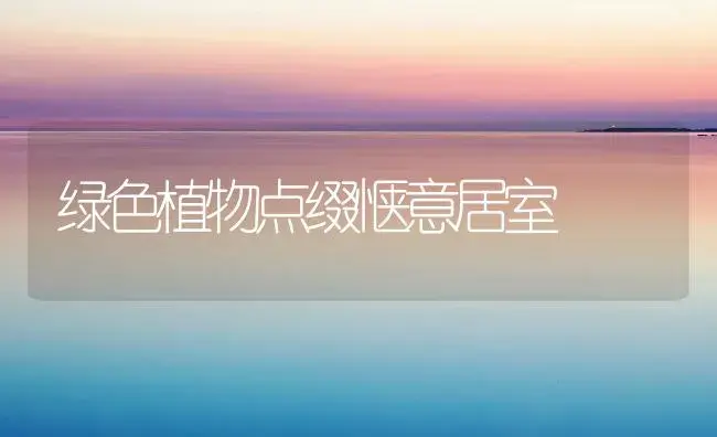 红枫怎样繁殖? | 植物知识