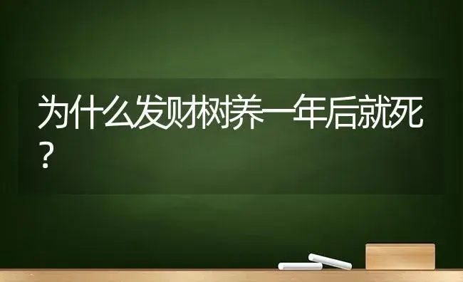 为什么发财树养一年后就死？ | 植物问答