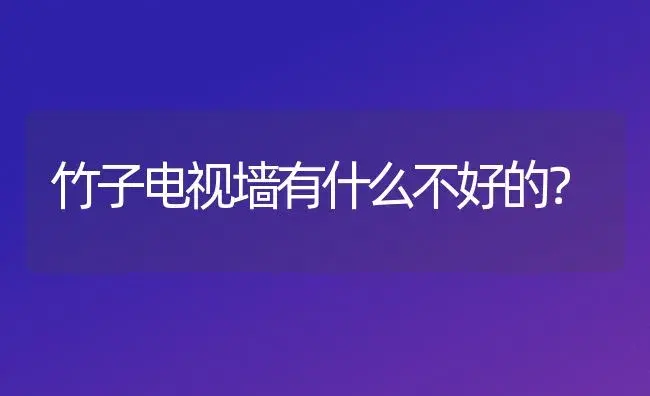 竹子电视墙有什么不好的？ | 植物问答