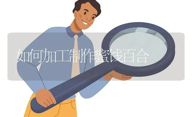 如何加工制作蜜饯百合 | 植物百科