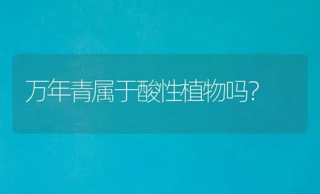 万年青属于酸性植物吗？ | 植物问答