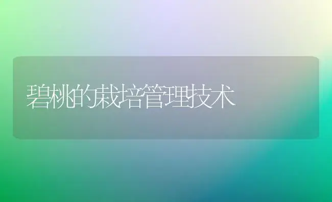 碧桃的栽培管理技术 | 植物知识