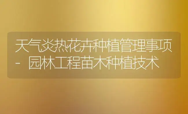 天气炎热花卉种植管理事项-园林工程苗木种植技术 | 植物科普
