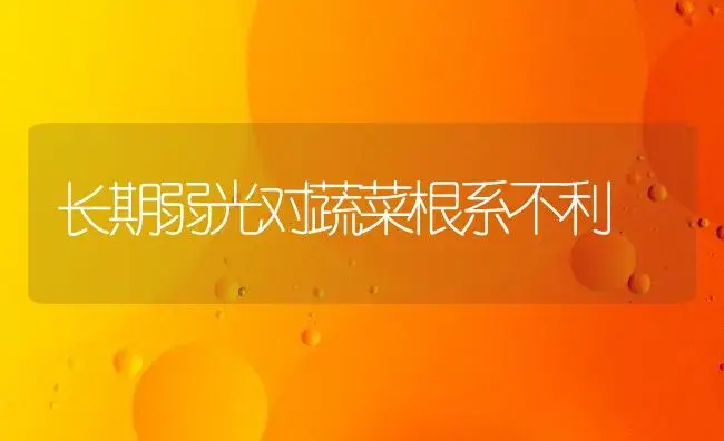 长期弱光对蔬菜根系不利 | 植物百科