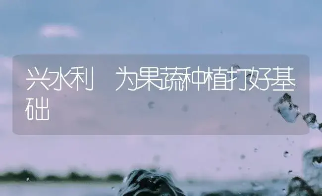 兴水利 为果蔬种植打好基础 | 植物百科