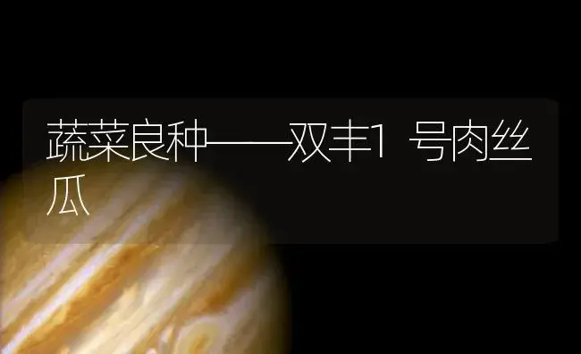 蔬菜良种――双丰1号肉丝瓜 | 植物百科