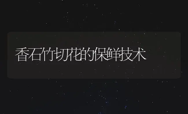 香石竹切花的保鲜技术 | 植物知识